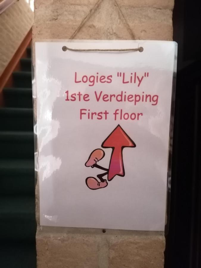 Logies Lily Apartment Oudenburg Екстериор снимка