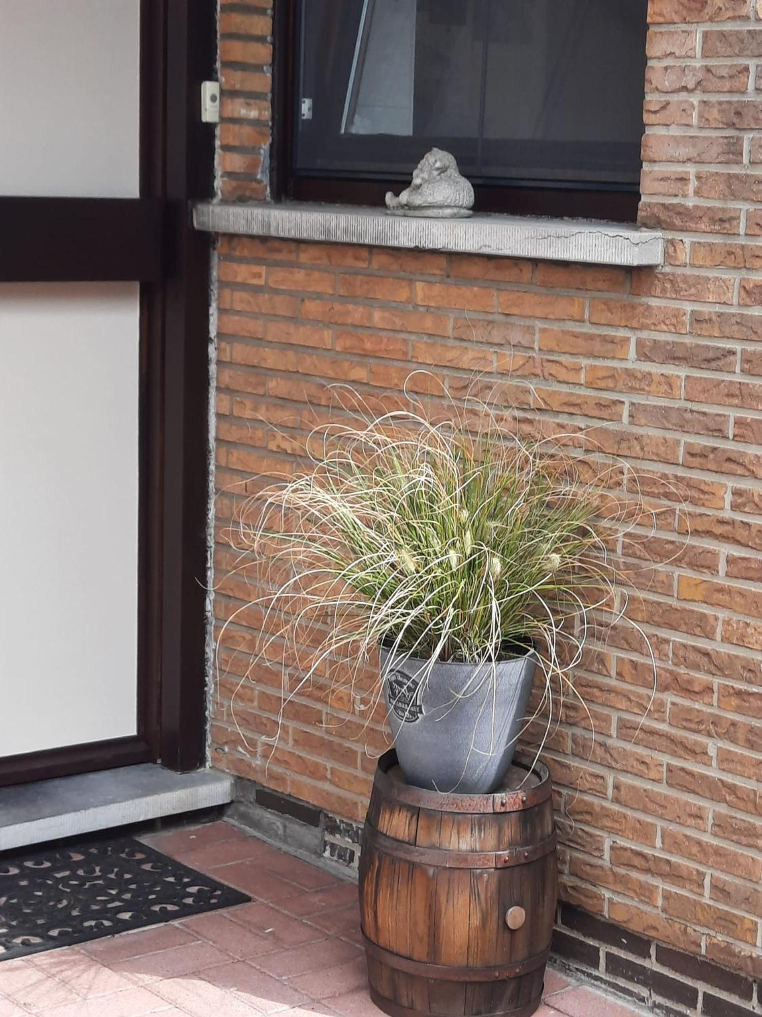 Logies Lily Apartment Oudenburg Екстериор снимка